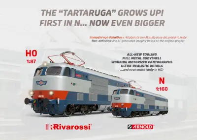 The "TARTARUGA" grows up!