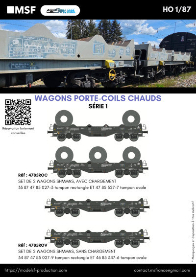 Hot coil carrier wagons - MSF