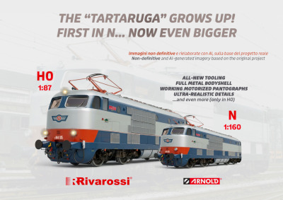 The "TARTARUGA" grows up!
