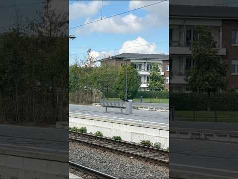 Short/Reel: Original or Model?