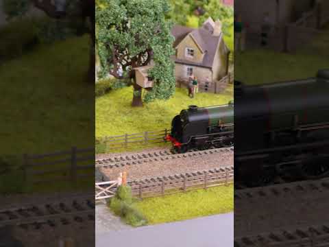 Short/Reel: What would you like to see added to our 'OO' range?