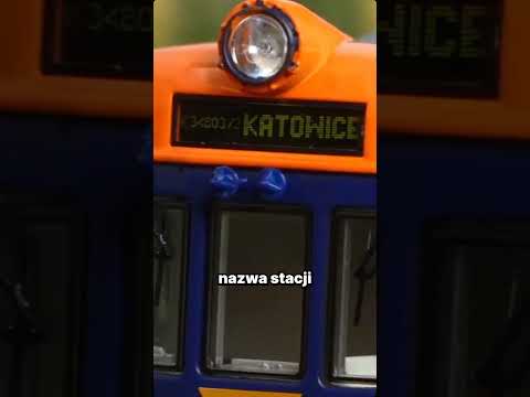 Short/Reel: EN71-016 TYGRYS