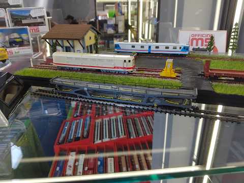 Video: Verona Expo Model 2026