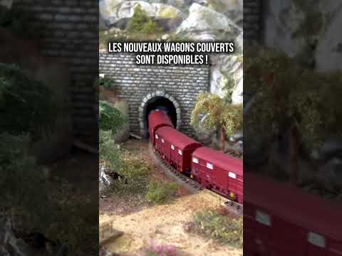 Short/Reel: Wagons couverts G4 - avec feux de fins de convoi !