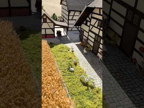 Short/Reel: Tierisch was los! 🐓 So lebendig wird deine Modellbahn 🚂