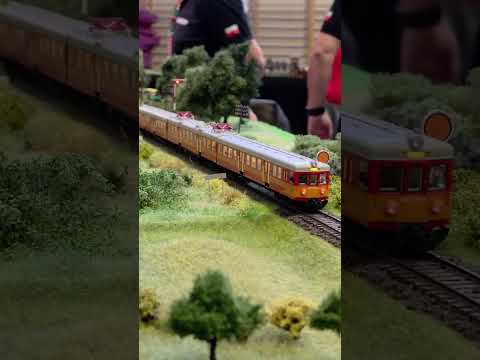 Short/Reel: Pomijamy sygnały kolejowe 🫠EN57-990