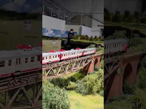 Short/Reel: Stęszew dzień drugi. Odwiedzamy przepiękne szlaki❤️