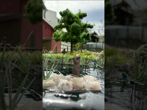 Short/Reel: Mehr Leben am Wasser? 🦦💧