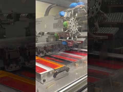 Short/Reel: PIKO BR 248 Vectron Dual Mode Spur G – Lackierung & Bedruckung | Teil 1 #Shorts
