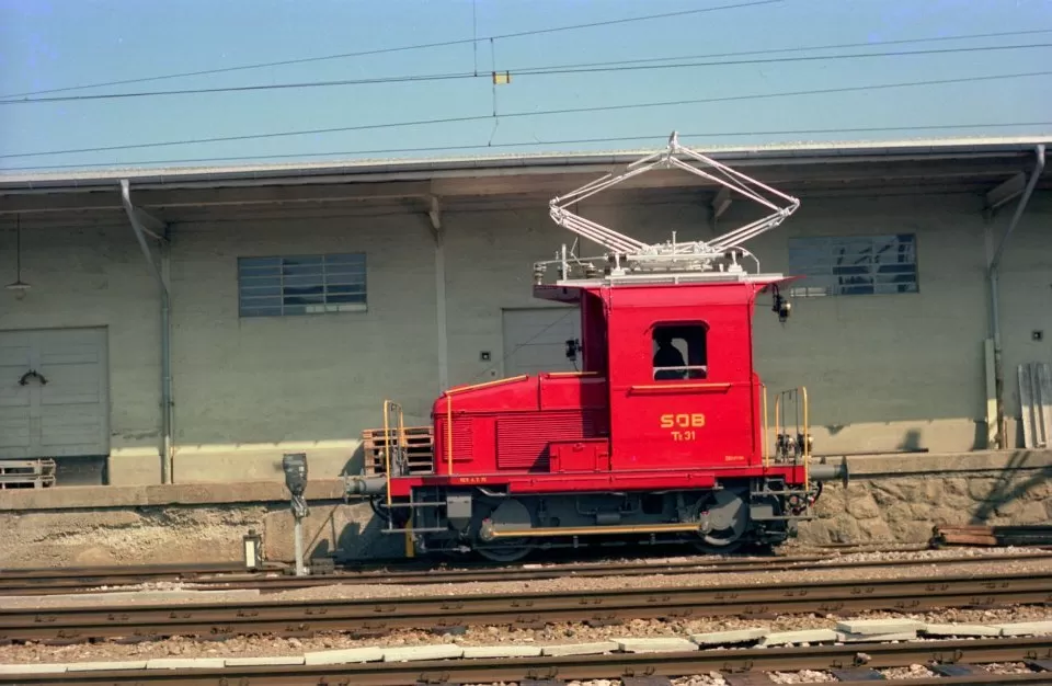 Te 31