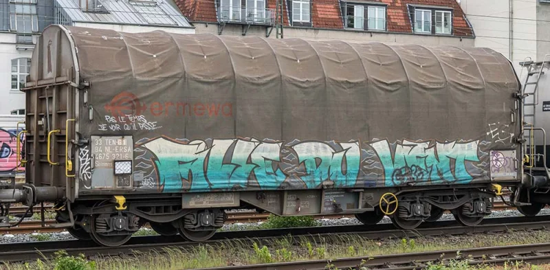 Shimmns