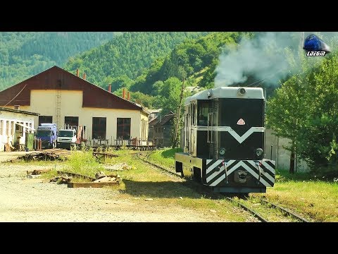 Video: L35H 024 diesel locomotive shunting in Viseu de Sus railway station