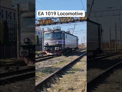 Short/Reel: EA 1019 Big Locomotive #train #railway #cfr #sweden #world #trainspotting #railroad #railfan #zug