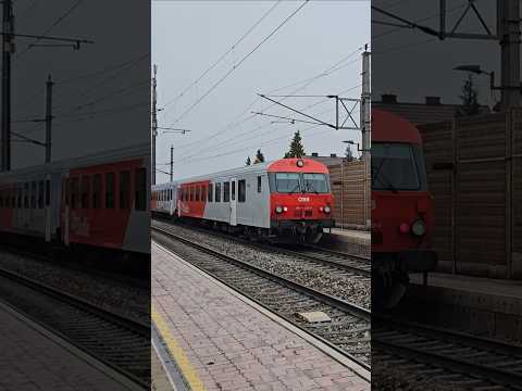 Short/Reel: So much going on!