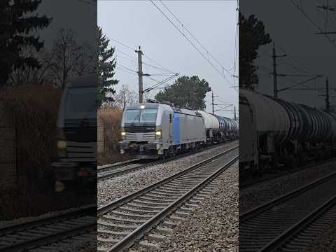 Short/Reel: Cargo at Pasching