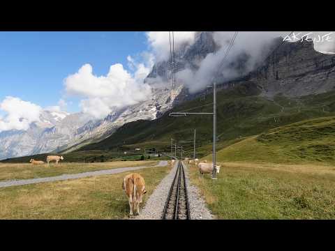 Video: Cab Ride - 🐄 Cow Traffic on Kleine Scheidegg to Grindelwald, Switzerland Jungfrau railway | 4K 60p