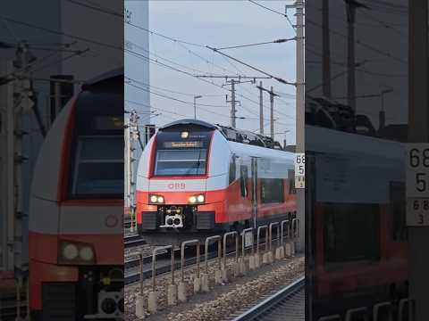 Short/Reel: What is going on here?!?