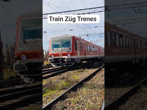 Short/Reel: S-bahn train züg #train #railway #germany #cfr #trains #europe #trainspotting #trenes #voz #rail #1k