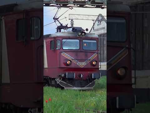 Short/Reel: EA 106 CFR train #train #railway #cfr #romania #trainspotting #railroad #old #big #locomotive #love