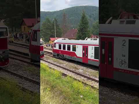 Short/Reel: Dunihlav in Dobšiná Ľadová Jaskyňa