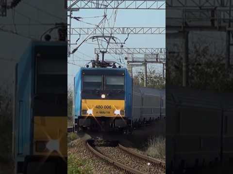 Short/Reel: MÁV TRAXX Züg train trenes #train #railway #europe #trainspotting #locomotive #züge #rail #railroad