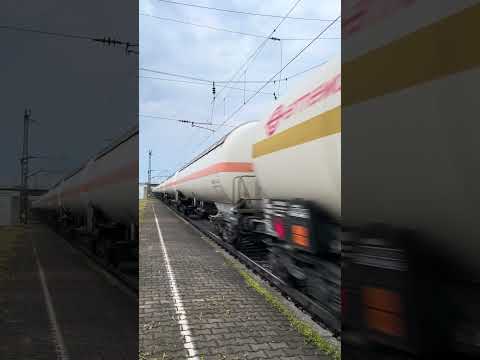 Short/Reel: Railpool E186147-5 Graben-Neudorf 15/05/2023 #traxx #bombardier #bahn #railway #ferrocarril #train