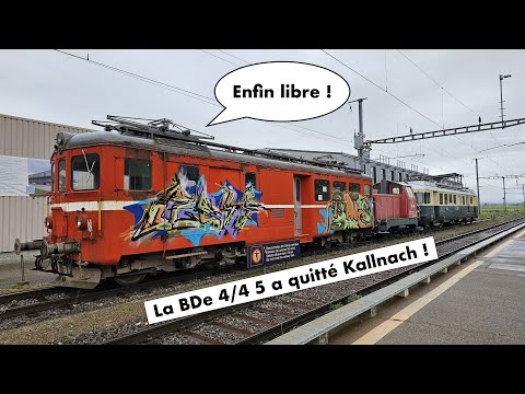 Video: Transfer from Kallnach to Lyss