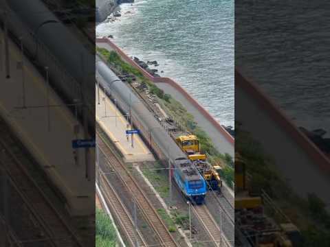 Short/Reel: Inter City train züg treno trenes #train #railway #italy #italia #treno #railroad #trainspotting #1k