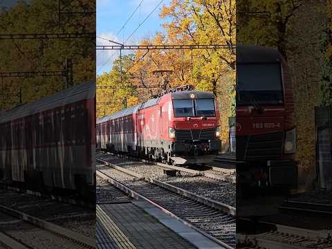 Short/Reel: Fast slovak sprinter with a honk through Klánovice!