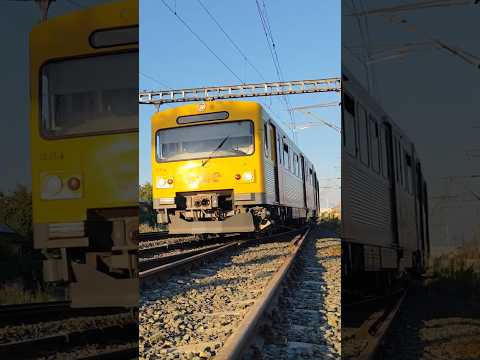 Short/Reel: VT 2E German diesel züg train trenes trem CFR #train #railway #germany #europe #trains #züge #rail