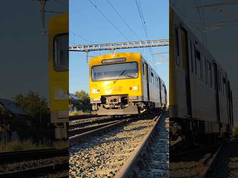 Short/Reel: Regional train züg trenes trem treni #train #railway