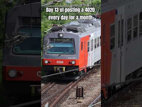 Short/Reel: Day 13: Double red-grey from above at Liesing