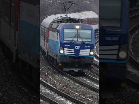 Short/Reel: ČD Vectron with an EC at Bratislava #trainspotting