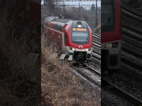 Short/Reel: Zssk Stadler Kiss in Bratislava #train