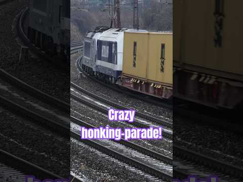 Short/Reel: A whole sound-parade, thank you!