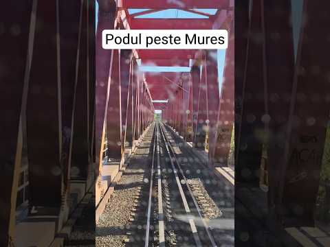Short/Reel: The Mures Bridge CFR train züg trenes #train #railway #romania #trainspotting #railroad #trenes #voz