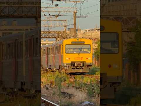 Short/Reel: VT 2E Diesel Train Regional Bahn #train #railway #zug #eisenbahn #diesel #locomotive #running #rail