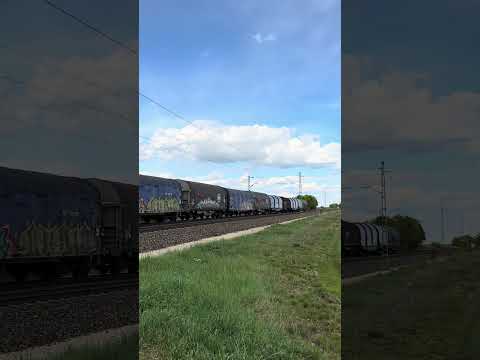 Short/Reel: MÁV 630.055. Kál, 19/04/2024 #mav #bahn #ferrocarril #railway #trainspotting #trains #mávstart