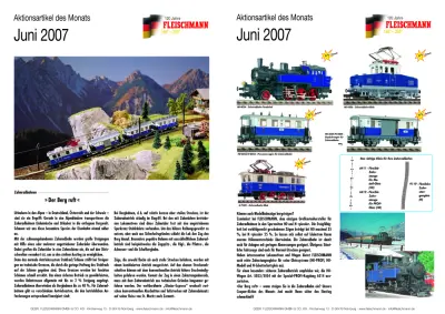 Aktionsartikel des Monats Juni 2007 - Fleischmann