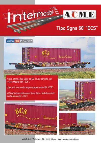 Tipo Sgns 60’ "ECS" (ref. 40536)